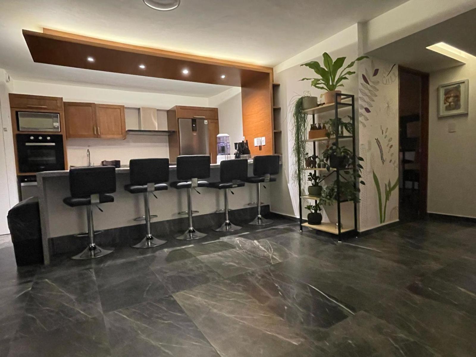 Great Apartment In The Heart Of Coyoacan Ciudad de México Exterior foto