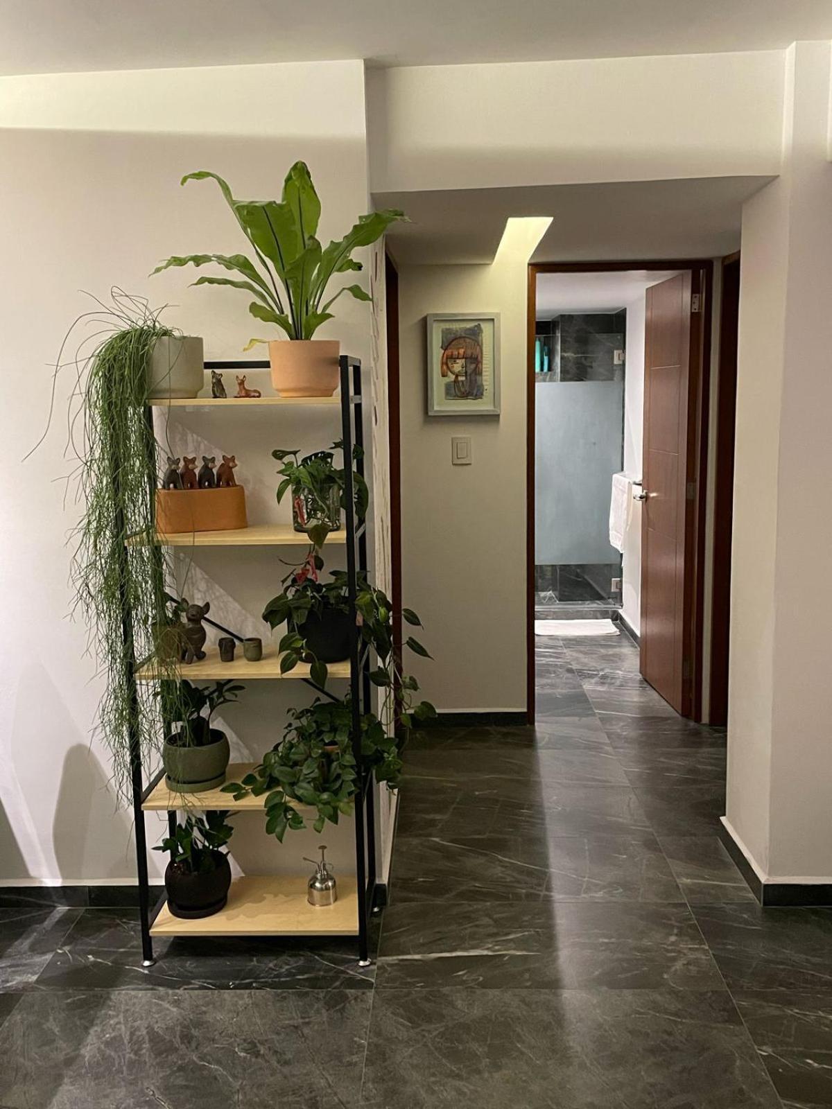 Great Apartment In The Heart Of Coyoacan Ciudad de México Exterior foto