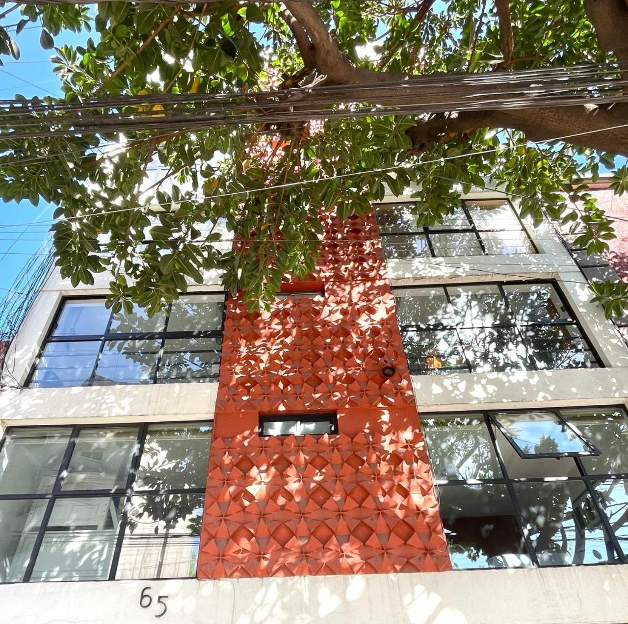 Great Apartment In The Heart Of Coyoacan Ciudad de México Exterior foto